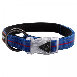 China OEM 2023 Adjustable Lightweight Strong Durable Plastic Buckle LED Polyester Dog Collar