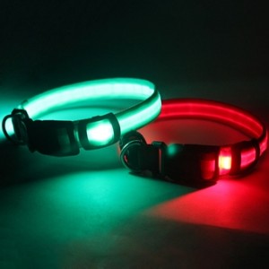 Popular LED Dog Collar