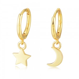 DR1252  Fashion Earrings