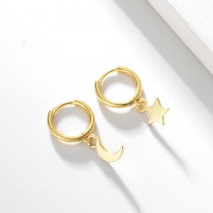 DR1252  Fashion Earrings