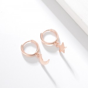 DR1252  Fashion Earrings