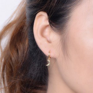 DR1252  Fashion Earrings