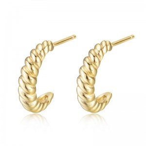 DR2040  Fashion Earrings