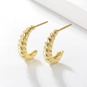 DR2040  Fashion Earrings