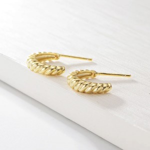 DR2040  Fashion Earrings