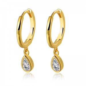 DR223  Fashion Earrings