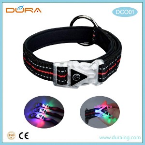 Popular Dog Collar