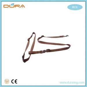 RC2 Running Dog Leash