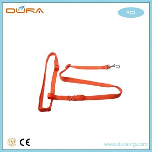 RC3 Running Dog Leash