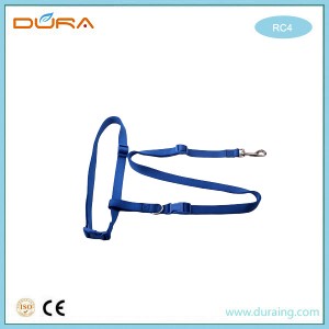 RC4 Running Dog Leash