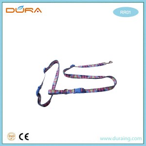 Massive Selection for Wholesale Outdoor Pet Products Nylon Metal Clip Running Dog Leash