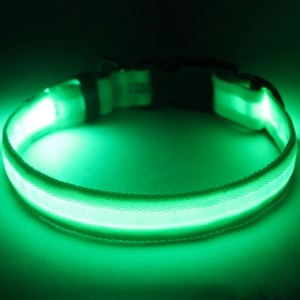 DCO05 Popular LED Dog Collar