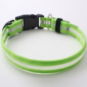 DCO05 Popular LED Dog Collar